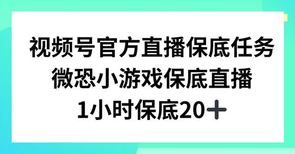 视频号小游戏直播项目，1小时20+收益，适合副业-无双副业