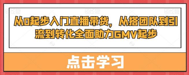 从0起步入门直播带货，全面助力GMV增长-无双副业