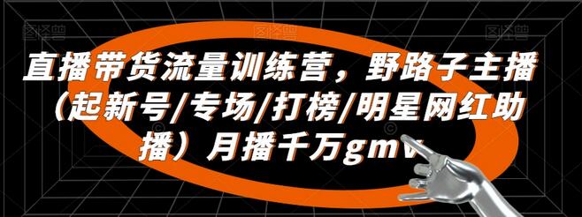 直播带货流量训练营：野路子主播月播千万GMV实战指南-无双副业