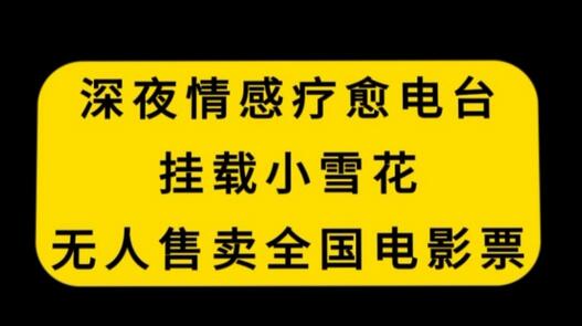 深夜情感疗愈电台与无人售卖电影票结合-无双副业