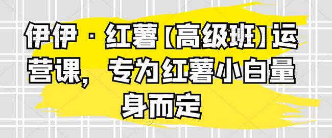 伊伊·红薯高级班运营课，专为红薯小白量身定制-无双副业