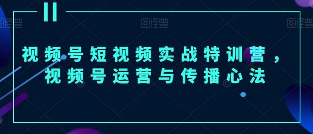视频号短视频实战特训营：运营与传播心法-无双副业