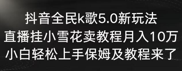 抖音全民K歌5.0直播卖教程，月入10万轻松上手-无双副业