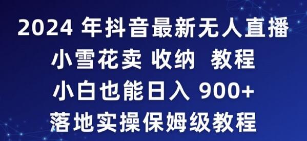 2024年抖音无人直播卖收纳教程，小白日入900+实操指南-无双副业