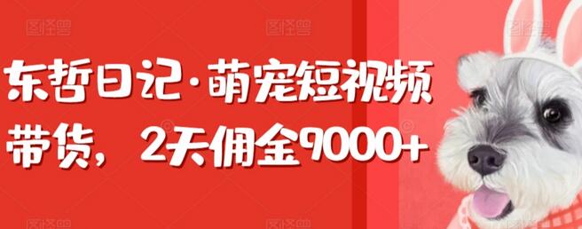 萌宠短视频带货，2天佣金9000+的实战经验分享-无双副业