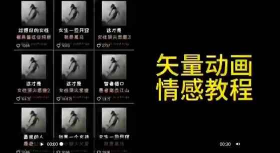 矢量动画情感教程：高点赞涨粉技巧-无双副业