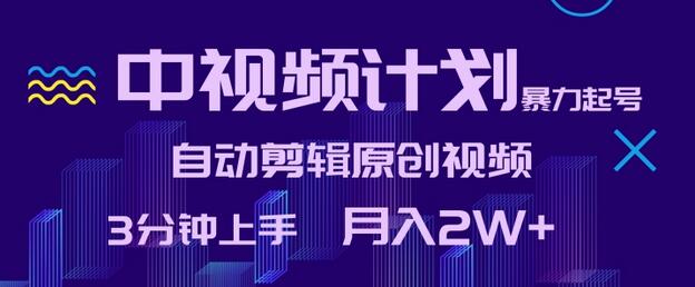 中视频计划快速起号，自动剪辑原创视频，轻松月入2W+-无双副业