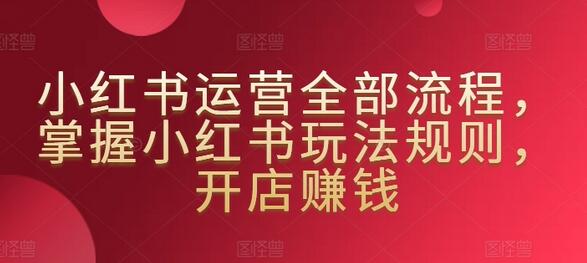 小红书运营全流程指南，开店赚钱技巧详解-无双副业