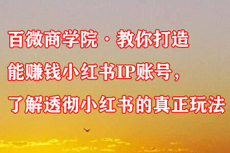 百微商学院教你打造赚钱小红书IP账号，掌握小红书玩法-无双副业