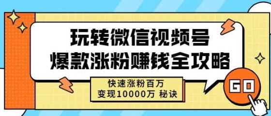 微信视频号涨粉变现全攻略，快速实现百万粉丝与万元收入-无双副业
