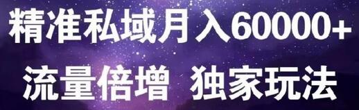原力网赚精准私域月入60000+，流量倍增独家玩法-无双副业