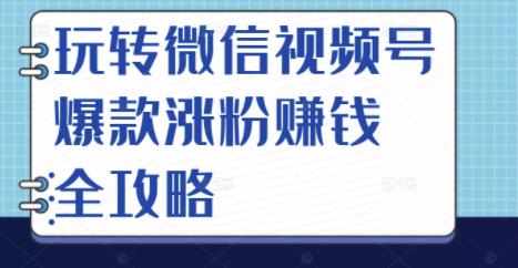微信视频号爆款涨粉赚钱全攻略，抓住流量风口收获财富-无双副业