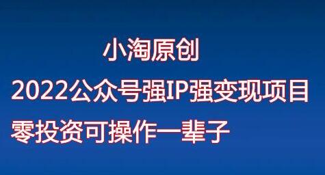 2022公众号强IP强变现项目，零投资可操作一辈子-无双副业