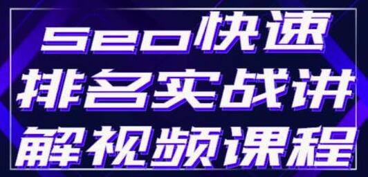 SEO快速排名实战视频课程，揭秘SEO快排原理-无双副业
