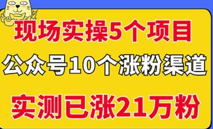 5个公众号项目实操与10个涨粉渠道，实测涨粉21万-无双副业