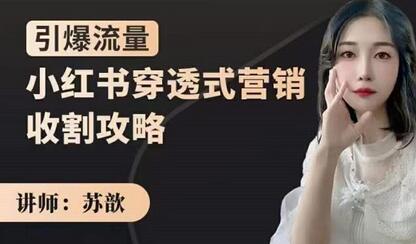 苏歆小红书穿透式营销攻略，引爆流量玩转平台-无双副业
