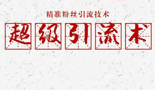 精准引流实操指南：6步引流法与3个案例拆解-无双副业