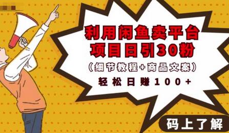 利用闲鱼卖项目课程资源日引流30+精准粉丝，轻松日赚100+-无双副业