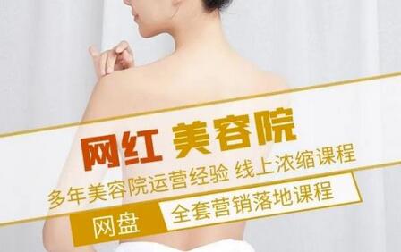 网红美容院全营销落地课程，多年运营经验分享-无双副业