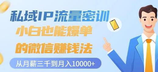 私域IP流量密训：微信赚钱法从月薪三千到月入10000+-无双副业