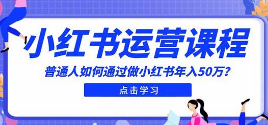 普通人如何通过小红书年入50万：入门课程指南-无双副业