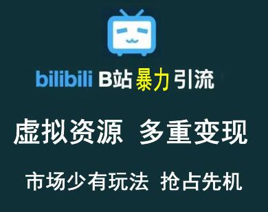 B站虚拟资源引流与多重变现方法，稳定被动收入-无双副业