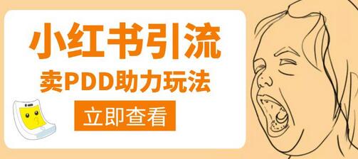 利用小红书卖拼多多助力日赚100+并引流视频课程-无双副业