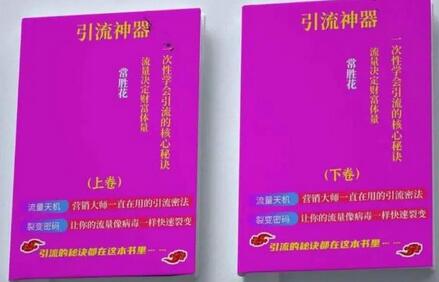 引流神器：理论+实战掌握引流核心秘诀，价值10万的流量思维-无双副业