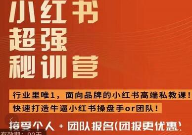 小红书运营密训营：爆文制造与高ROI投放技巧-无双副业