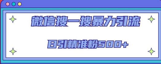 微信搜一搜引流全系列课程，日引精准粉500+-无双副业