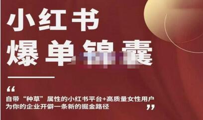 小红书爆单策略：高质量女性用户与种草属性助力企业掘金-无双副业