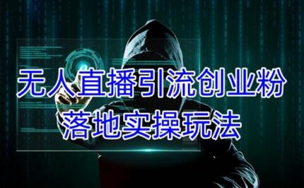 无人直播引流创业粉实操玩法，单日精准引流100+-无双副业