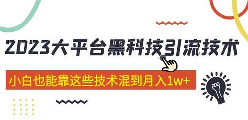 大平台黑科技引流技术 小白也能月入1w+的29节课-无双副业