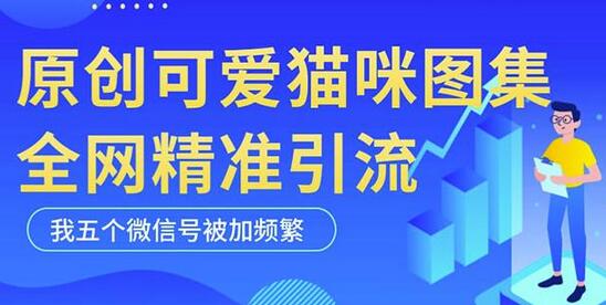 原创可爱猫咪图片引流技巧，5个微信账号实操被频繁添加-无双副业