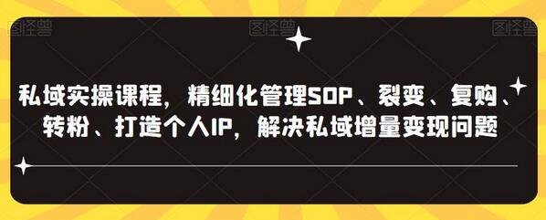 私域实操课程：精细化管理与流量变现全攻略-无双副业