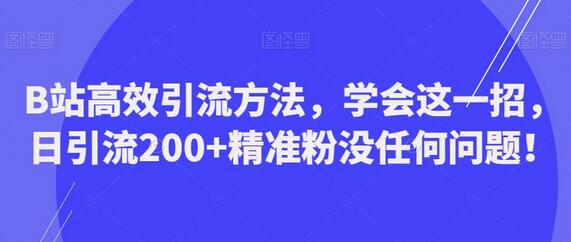 B站高效引流方法揭秘，日引流200+精准粉丝-无双副业