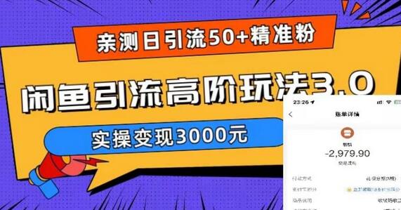 闲鱼引流高阶玩法3.0，日引50+精准粉实操变现3000元-无双副业