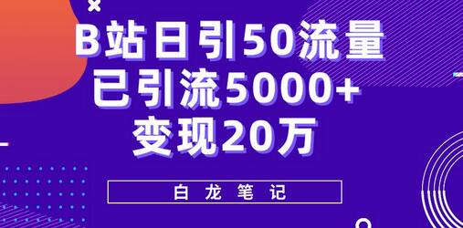 B站引流实战课程：日引50+流量，变现20万-无双副业