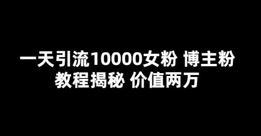 一天引流10000女粉的博主教程揭秘-无双副业
