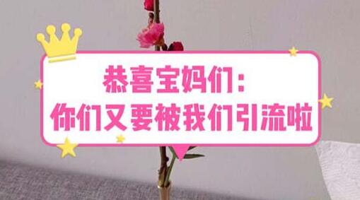 宝妈引流教程与222g资料：长期赚钱项目指南-无双副业