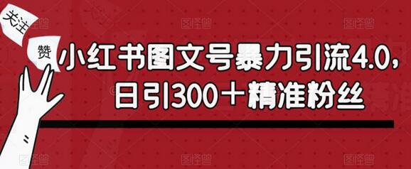 小红书图文号暴力引流4.0，日引300+精准粉丝揭秘-无双副业