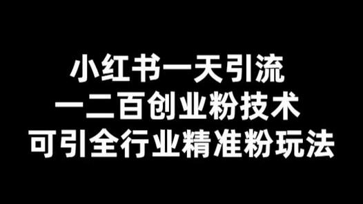 小红书引流创业粉技术，全行业精准粉玩法揭秘-无双副业