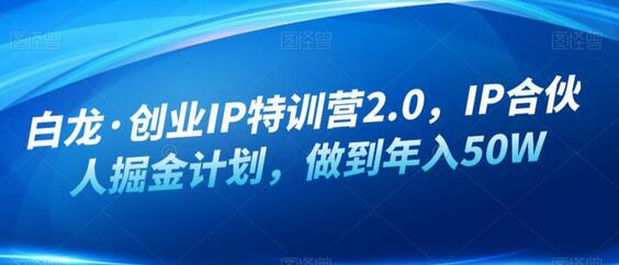白龙创业IP特训营2.0，IP合伙人掘金计划，年入50W+-无双副业