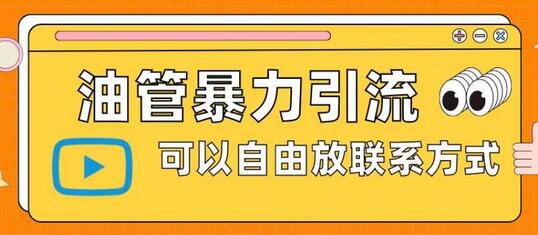 油管暴力引流技巧及自由放联系方式-无双副业