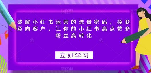 小红书运营流量密码，高点赞多粉丝高转化策略-无双副业