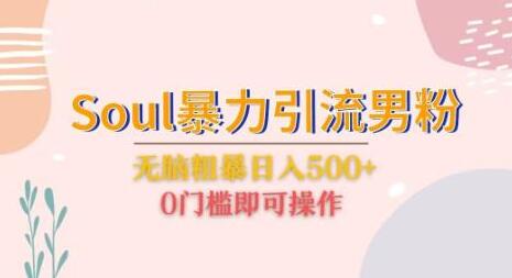 Soul暴力引流男粉玩法，日入500+无门槛操作-无双副业