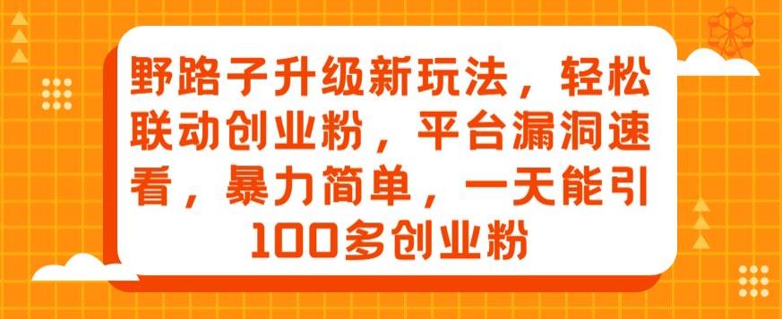 野路子升级玩法，轻松吸引创业粉，平台漏洞揭秘-无双副业