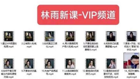 林雨新课VIP频道：私域、朋友圈与社群运营实战-无双副业