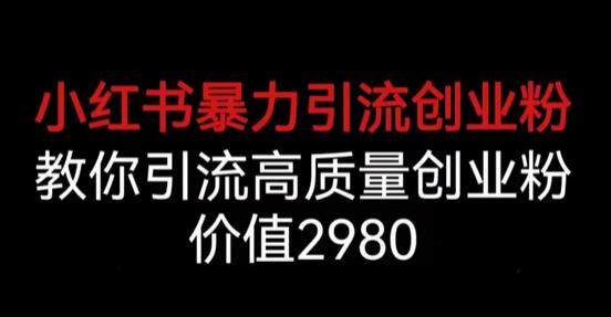 小红书引流高质量创业粉，价值2980元课程详解-无双副业