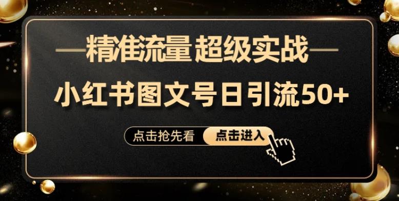 小红书图文号引流实战课，新手小白轻松日引50+精准流量-无双副业